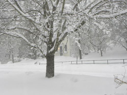 View up a post-blizzard Lyme Street.(Photo by Lynn Fairfield-Sonn).