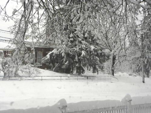 The Old Lyme-Phoebe Griffin Noyes Library (Photo by Lynn Fairfield-Sonn).