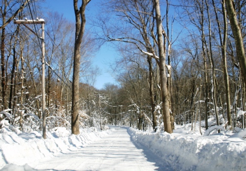 Hatchetts Hill Rd. makes a pretty picture ... but not for school buses!