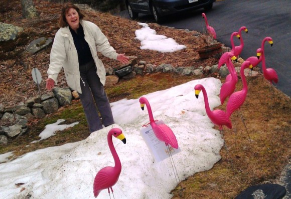 Old Lyme Selectwoman Mary Jo Nosal is still smilimg despite finding her front yard "flocked."  the first 