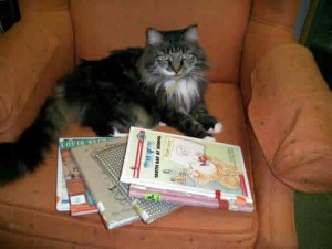 Emma, the Lyme Public Library cat, who passed away Thursday.