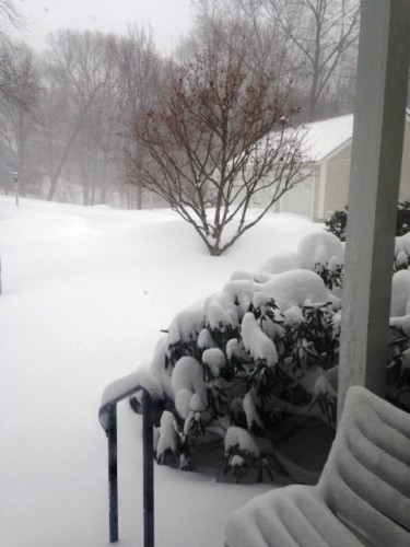 Here's a view of Laurel Heights by Emily Snow.