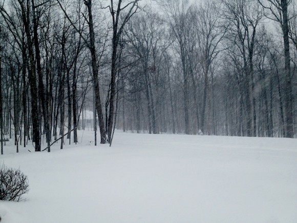 Looking up a snow-covered road in Old Lyme.