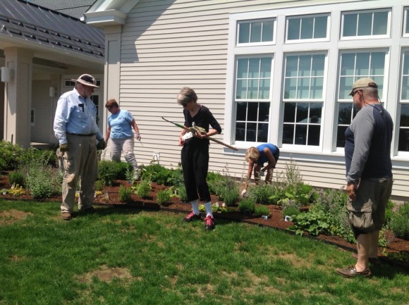 Lyme Garden Club members hard at work landscaping the new Town Campus gardens.