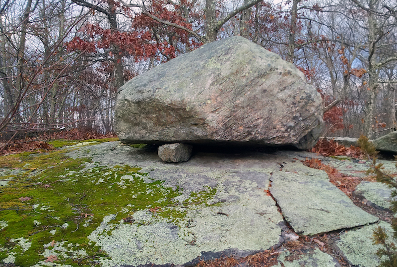 Take a Post-Thanksgiving Hike Today in Hartman Park