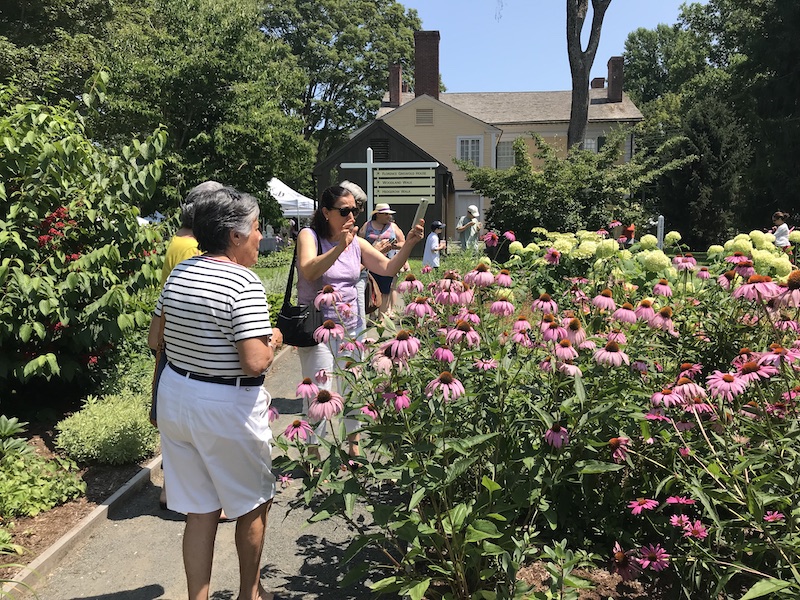 Old Lyme Joyfully Celebrates the Magic of Midsummer Festival