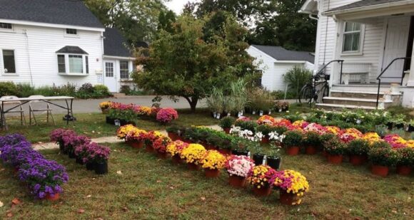 Fall Plant Sale Hosted by OL Historical Society @ In front of OLHS building