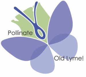 Pollinate Old Lyme! Launch Meeting @ Zoom meeting