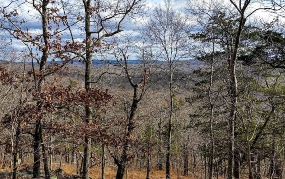 Earth Day Walk of the Johnston Preserve in Lyme @ Johnston Preserve on Rte. 82